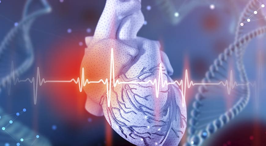 Enfermedades cardiovasculares y respiratorias